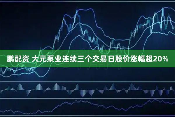 鹏配资 大元泵业连续三个交易日股价涨幅超20%