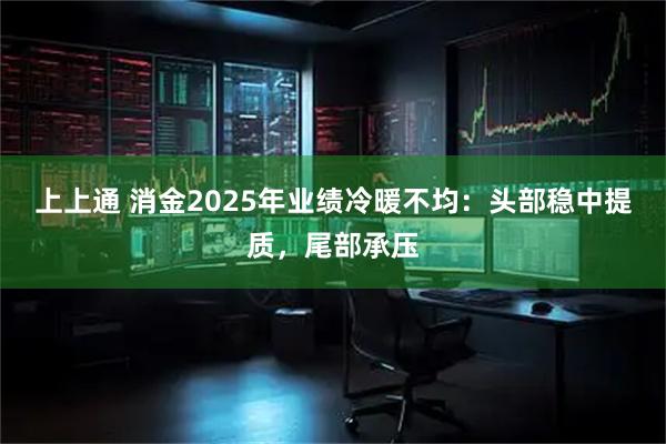 上上通 消金2025年业绩冷暖不均：头部稳中提质，尾部承压